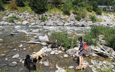 Tipps + Checkliste für einen entspannten Urlaub mit dem Hund - Mein-Tiershop.de