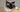 Katzenrassen – Rasseportrait Heilige Birma Katze
