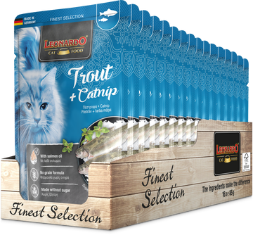 LEONARDO Forelle + Catnip