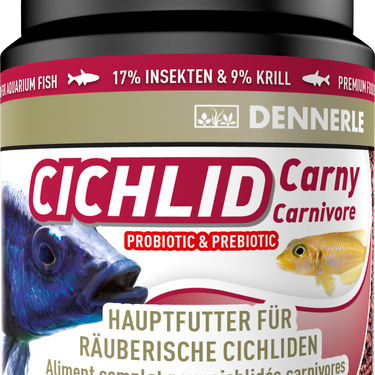 Dennerle Cichlid Carny