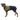 Ruffwear Sun Shower Coverall#farbe_midnight-blue