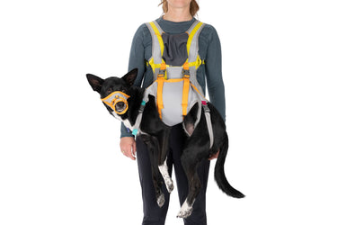 Ruffwear BackTrak™ Evakuierungsset für Hunde#farbe_cloudburst-gray