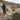 Ruffwear Hitch Hiker™ Hundeleine#farbe_slate-blue
