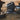 Ruffwear Kibble Kaddie™ Hundefutterbehälter#farbe_basalt-gray
