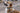 Ruffwear Crag Hundehalsband#farbe_rising-wave