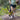 Ruffwear Trail Runner Hundeleine#farbe_blue-pool