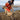 Ruffwear Palisades™ Hunderucksack#farbe_red-sumac