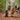 Ruffwear Turnup™ Hundespielzeug#farbe_campfire-orange
