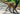 Was braucht ein Hund eigentlich alles? - Mein-Tiershop.de