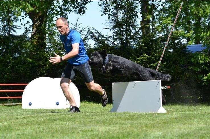Turnierhundesport - Leichtathletik mit dem Hund - Mein-Tiershop.de