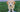 Fellpflege beim Doodle – Wie pflegt man Labradoodle und Co. Richtig?