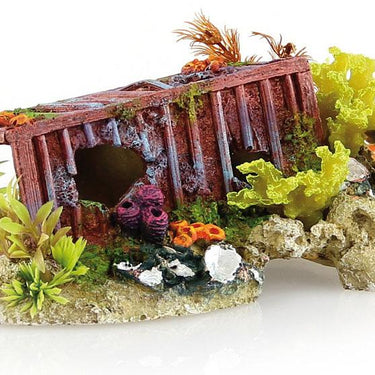 Amazonas Container-Wrack