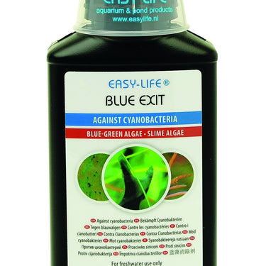 Easy Life Blue Exit