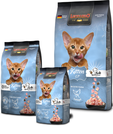 LEONARDO Kitten GF