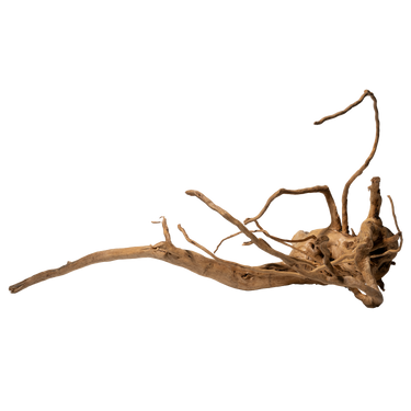 Stoffels Spiderwood