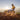Ruffwear Trail Runner Hunde-Laufweste#farbe_blue-pool