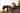 Ruffwear Quencher Bowl#farbe_coastal-mountains