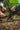 Ruffwear Quencher Bowl#farbe_moonlight-mountains