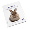 Bunny BOOKS Kaninchen