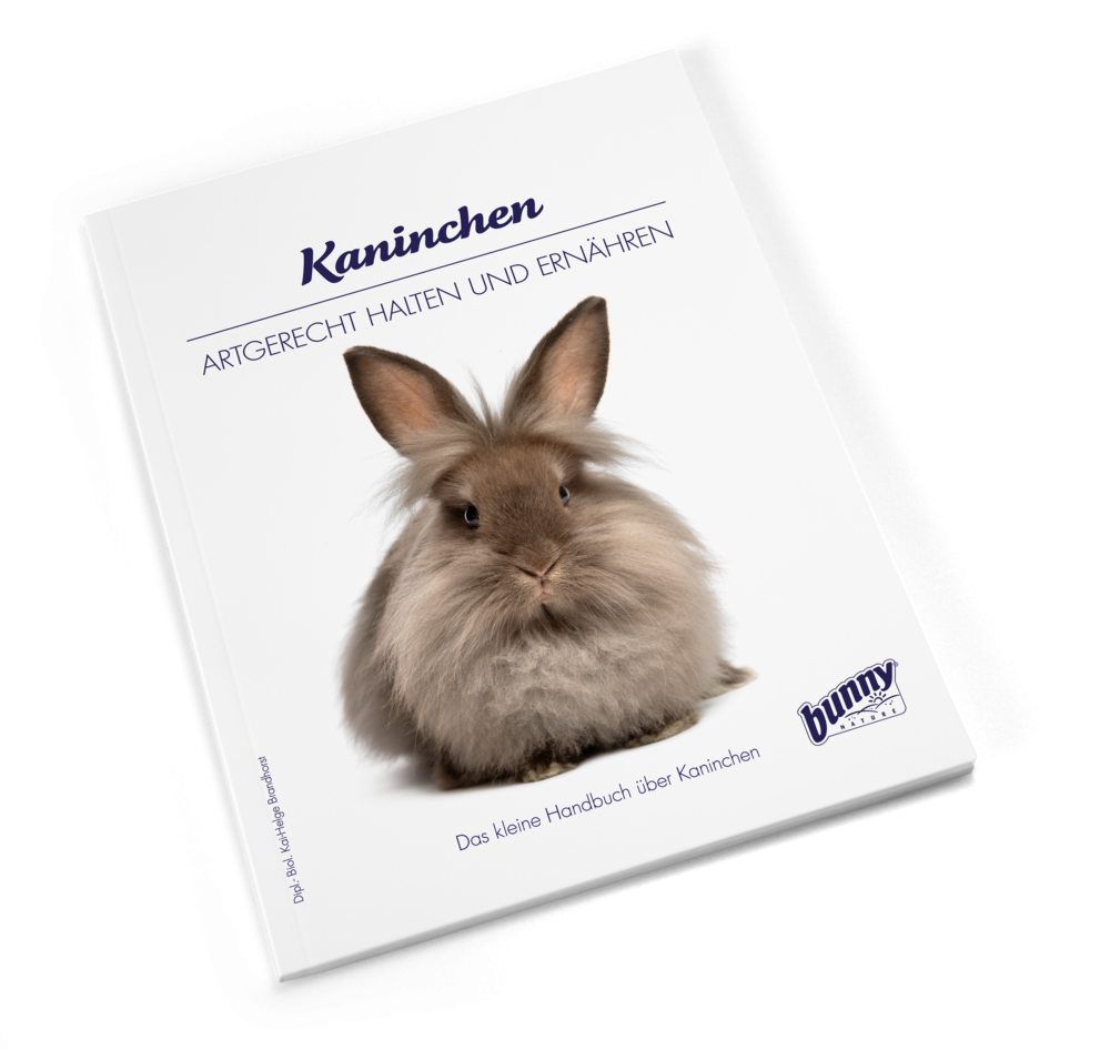 Bunny BOOKS Kaninchen