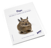 Bunny BOOKS Degu