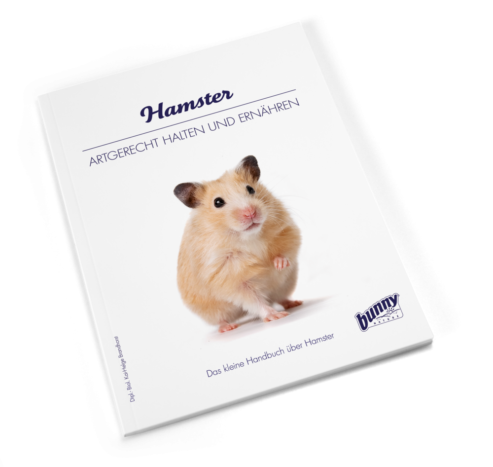 Bunny BOOKS Hamster