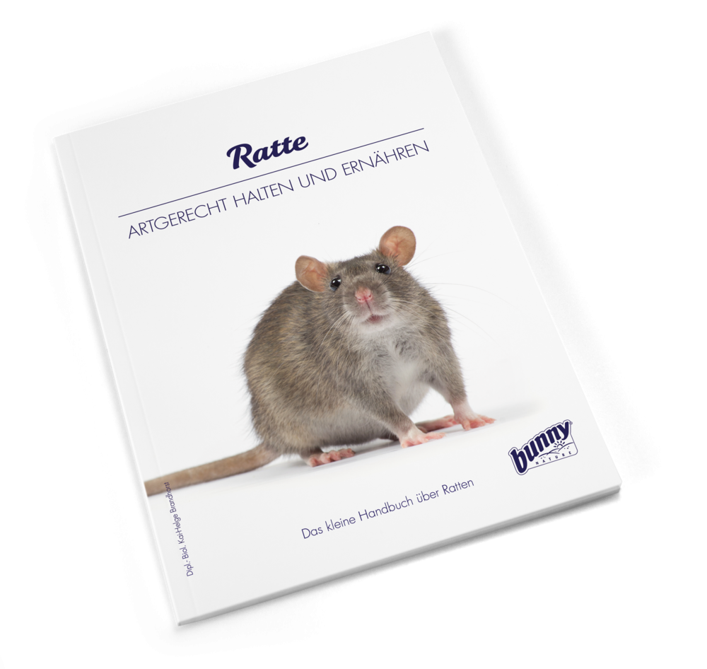 Bunny BOOKS Ratte