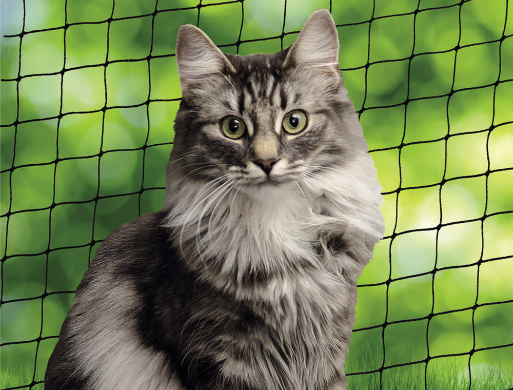 Nobby Katzenschutznetz