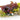 Amazonas Container-Wrack