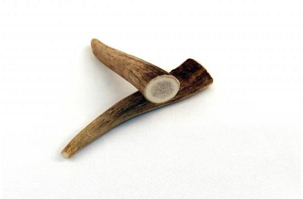 Chewies Geweih-Snack - Größe XS