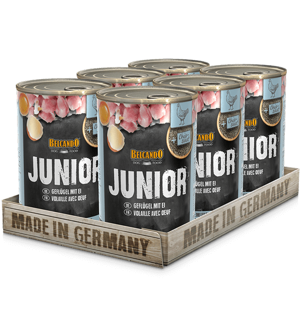 BELCANDO Junior Geflügel & Ei