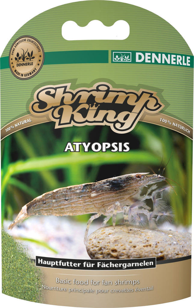 Shrimp King Atyopsis