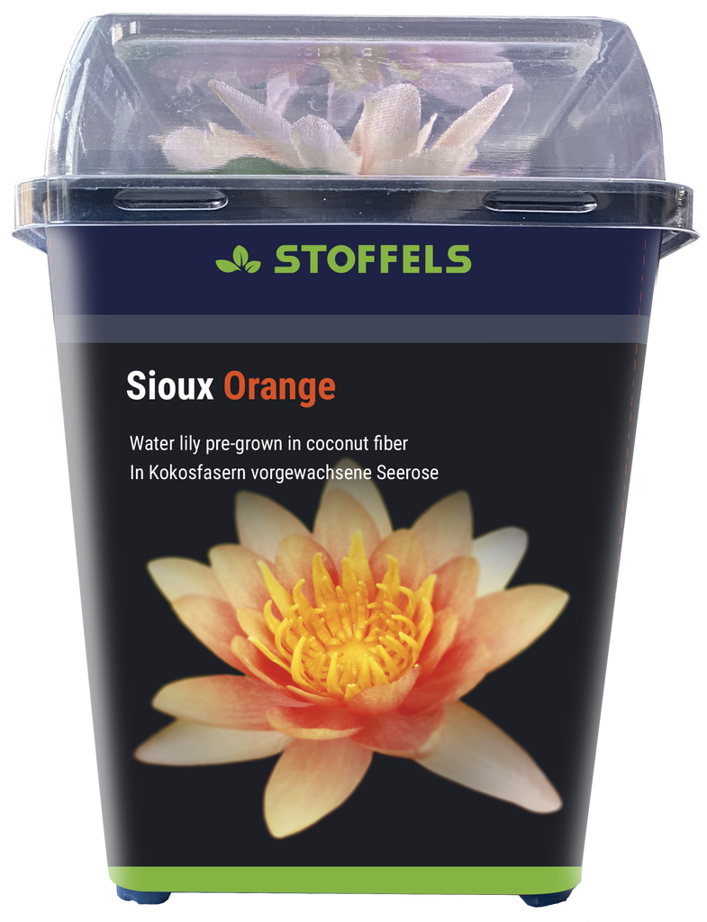 Stoffels Seerose Sioux Orange